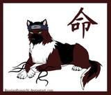 kakuzu akatsuki animals