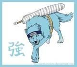 kisame akatsuki animals