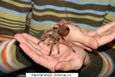 si care este animalul vostru preferat?