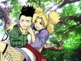 :wink2: credeti ca se potriveste shikamaru cu temari?