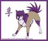 anko naruto animals