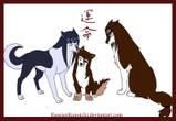 :razz: naruto animals
