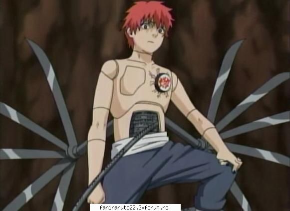 cinci... poze sasori
