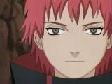 poze sasori