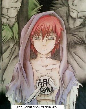 17 poze sasori