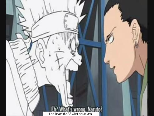 funny poze cu naruto!