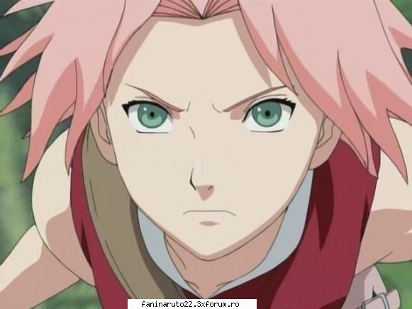 9.hotarata poze cu sakura