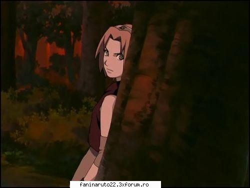 poza 5 poze cu sakura an shippuden