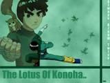 ma intreb cum se va comporta in shippunder :razz: rock lee