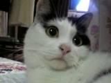 :nod:  :d  sal